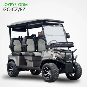 OEM Customizable 2-8 Seater Electric Golf Cart from China Suppliers | Affordable Battery-Powered Golf Buggy Factory Manufacturer, Factory