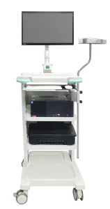 Surgical Electronic Bronchoscope Professional Medical Equipment for ICU Respiratory Care Emergency Airway Management