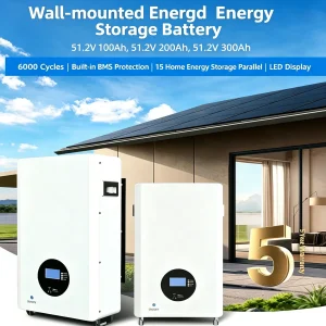 Efficient All-in-One 51.2V 5kwh Wall-Mounted