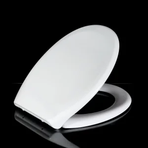 Non-Electric Bidet Toilet Seat with Soft Closed Function