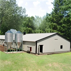 Poultry House Equipment