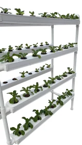 Hydroponic Mini Nft