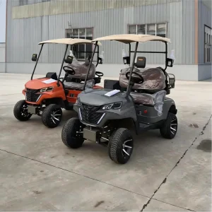 Off-Road 4 Seater Electric Golf Cart with Lithium Battery 60V Modern Hunting Golf Buggy for Resort