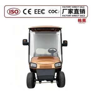 Factory Direct Utility Golf Cart with Cargo Bed