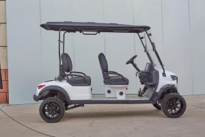 Carrinho de Golfe Elétrico de Lítio