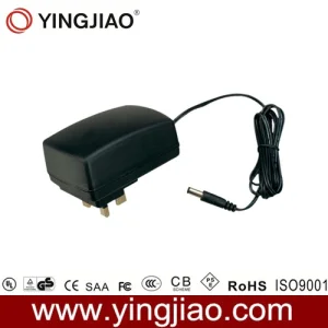 35W AC DC Switch Mode Power Adapter