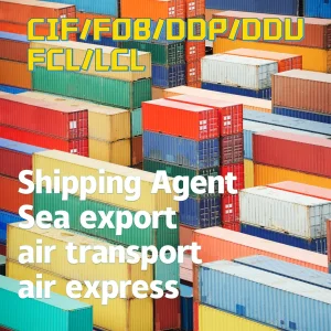 LCL/FCL DDU/DDP Shipping Ocean Freight Forwarder Air Shipment Railway Logistics Sea Freight From China to USA/Korea/Europe/Middle East/Southeast Asia