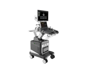 Cardiac 5D