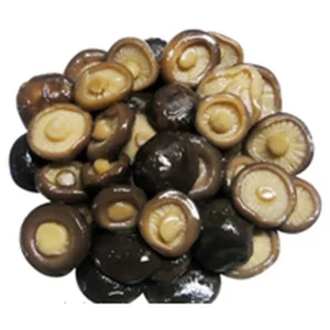 Rebanadas de tallo de champiñón shiitake enlatado ecológico para almuerzo de oficina