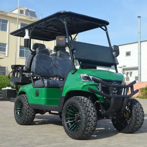 Custom Comfortable 4 Seats luxury Golf Cart