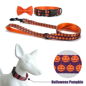 Halloween Collar