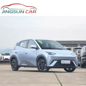 Byd Seagull Alto Rendimiento 5-Door 4-Seater Hatchback Automático Aire Acondicionado Vehículo de Nueva Energía Coche Eléctrico