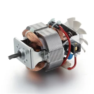 Small Brushless DC Motor
