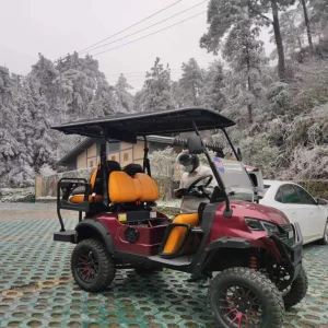 Latest Electric Lifted Golf Cart