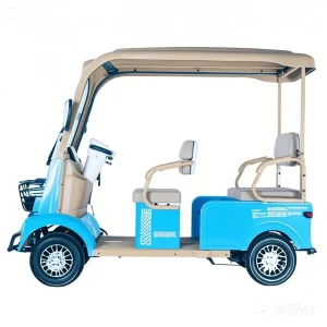 Intelligent Control System Eco-Friendly and Energy-Efficient Event Guidance Course Advertising Used Electric Scooter Electric Golf Cart