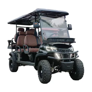 Electric Golf Carts Customized 6 Seater