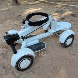 2024 Top Sale Foldable Electric 4 Wheel Golf Scooter with Golf Bag Holder 2000W Motor Electric Golf Carts