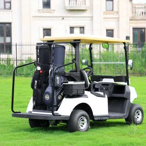Wuxi Hiiov Fleet Electric Golf Cart A2+CSA