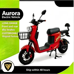 OEM Durable Daily Use Compact Electric Bicycle