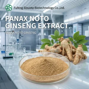 Panax Notoginseng