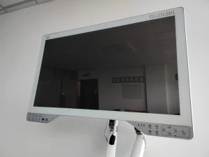 4K 27 Inch Monitor