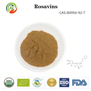 Suprimento de Pó de Rosavinas Melhor Extrato de Rhodiola Rosea 3% Rosavinas