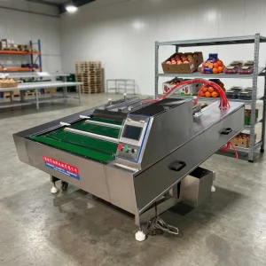 Easy to Clean Maintain Assembly Line Vacuum Machine Conveyor Belt Vacuum Packing Machine for Bacon Sausage Packaging