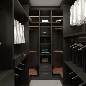 Hinged Glass Door Dark Modern Wardrobe