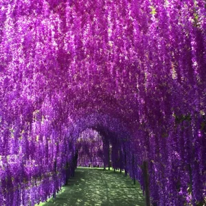 Wholesale Artificial Hanging Flowers for Wedding Party Ceremony Backdrop