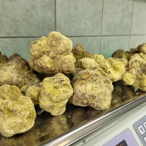 High Mineral Content White Truffle