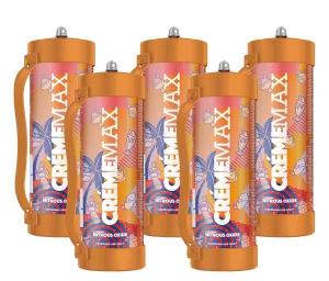 Stainless Steel Customizable Food Grade Cream Chargers