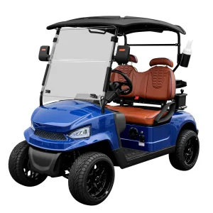 Made in China Street Legal Golf Cart Folding 2 Seater Mini Electric Golf Cart