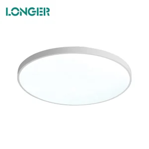 IP54 Waterproof Bathroom Indoor Ceiling Light