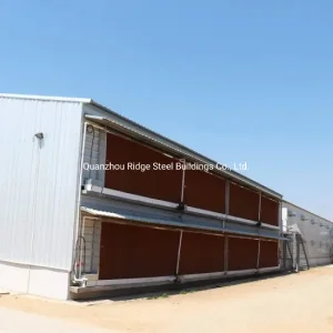 Automatic Prefab/Prefabricated Steel Structure Chicken Poultry House