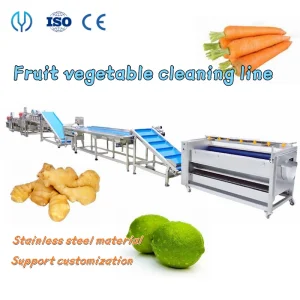 Salad Production Line