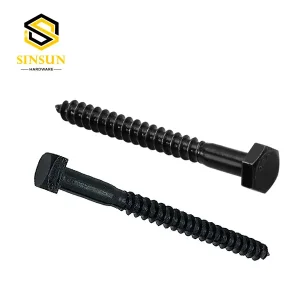 ODM Black Oxide Lag Screws