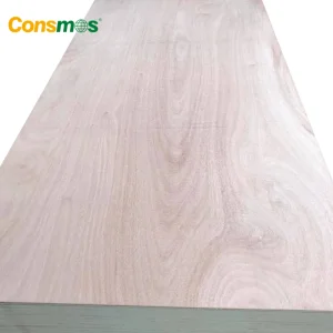 FSC/Carb/CE/ISO 3mm E1/E0 Glue Okoume Poplar Core Commercial Plywood Price
