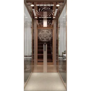 6 Person Small Size Machine Roomless Home Lift Villa Passenger Elevator