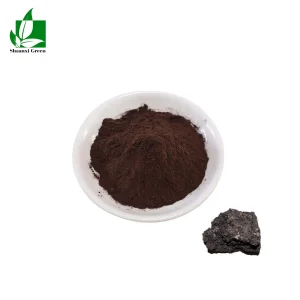 Shilajit Extract Powder