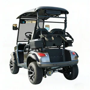 Eco Friendly 2 Seater Electric Golf Cart Manufacture for Campus and Resort Use