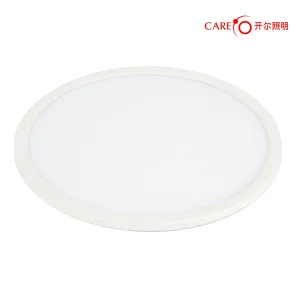LED Flush Mount Slim Panel