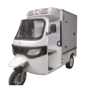 China High-Quality Electric Tricyle Car Freezer Box for Cold Chain Delivery Manufacturer, Manufacturers