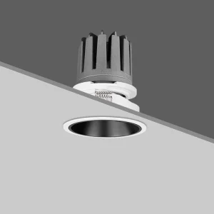 Adjustable Smart Ceiling Lamp