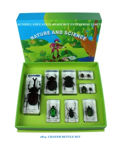 Science Learning Specimen Set