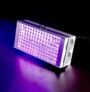 60W UV Curing Lamp for Silkscreen Printing Conveyor Drying Machine 365nm Uv Led Black Light Curing Device for 3D Print