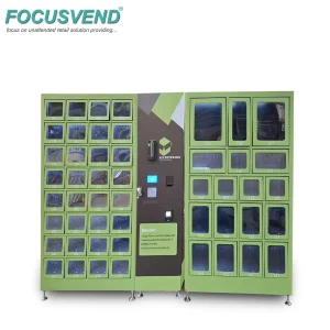 Automated Smart Storage Cabinet with Digital Payment