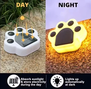 Bear Paw LED Lights