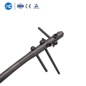 Femoral Reconstction Intramedullary Nail