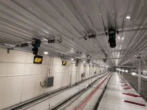 Poultry Equipment: Breeder Falt Raising System for Chicken and Layer Use