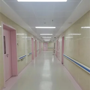 Clean Room Steel Door